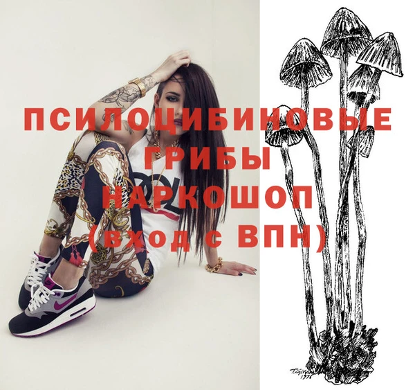 герыч Арсеньев